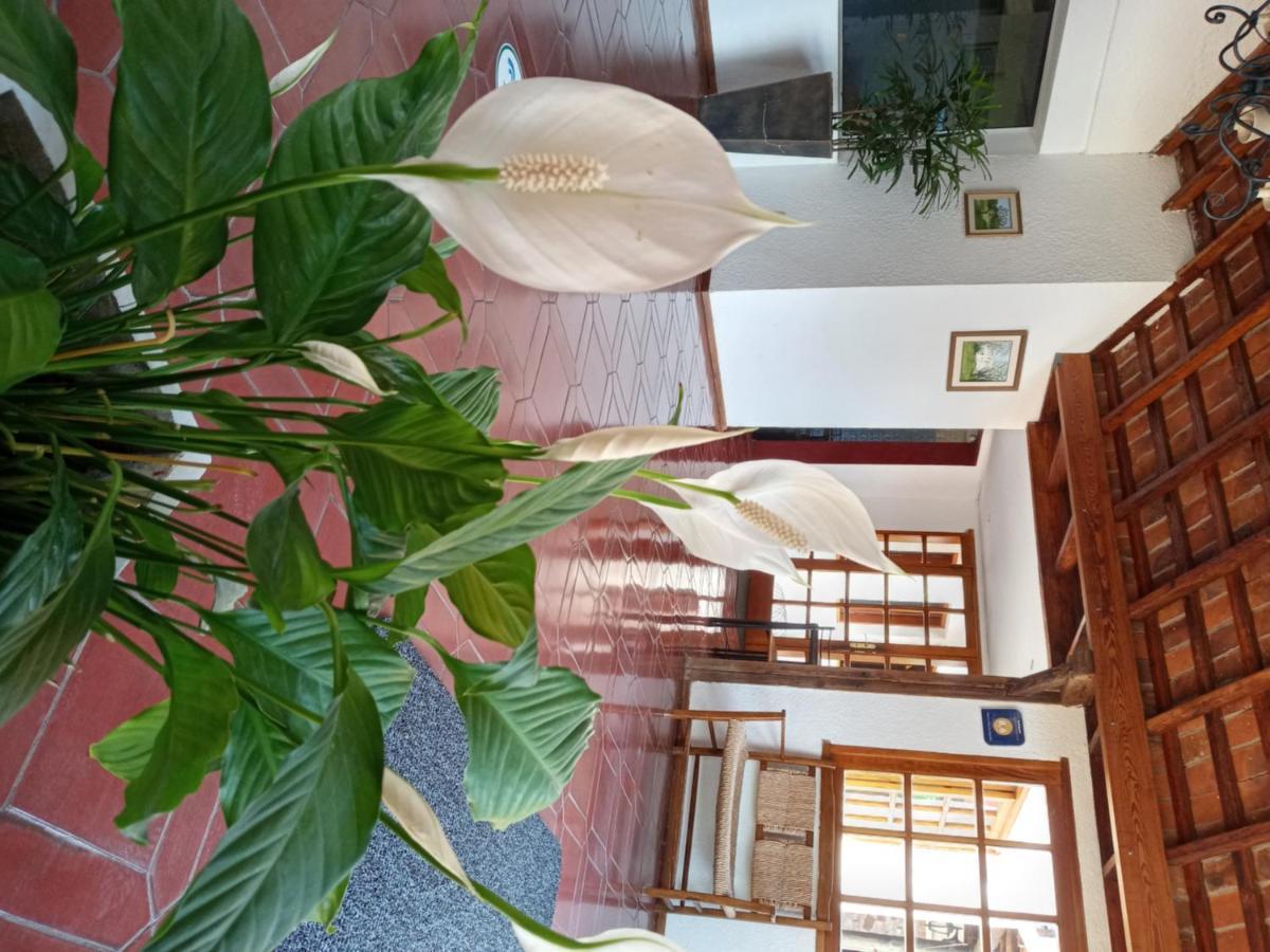 Hotel La Posta Del Dayman Термас-дель-Дайман Экстерьер фото